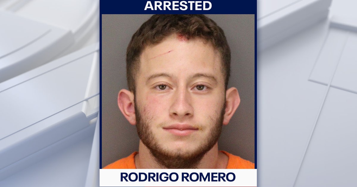 18-Year-Old Arrested in Downtown St. Petersburg Attack – Police Confirm Incident