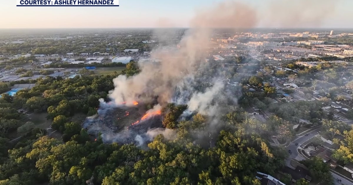 Tampa brush fire grows quickly, spreads to Copeland Park: TFR | FOX 13 ...