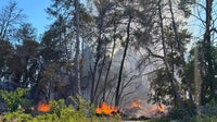 Hernando County brush fire grows as crews work to contain area