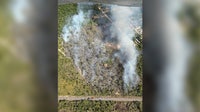 Crews battle wildfire in Hudson near Dixie Highway