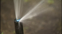 Water restrictions for Tampa Bay Region to begin Friday, what homeowners, businesses need to know
