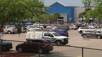 Palm Harbor Walmart dog fight injures 3 employees, 2 others: PCSO