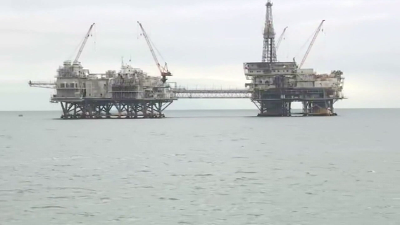 Trump administration's Endangered Species Committee approves loophole to allow Gulf oil drilling