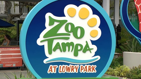 ZooTampa expansion: Hillsborough County approves $75M for new South America area, upgrades