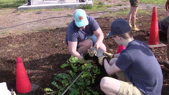 Pinellas Virtual School students celebrate Earth Day with tree-planting project at Patti Johnson Farm