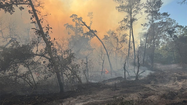 Weeki Wachee brush fire prompts multiple home evacuations: HCFR