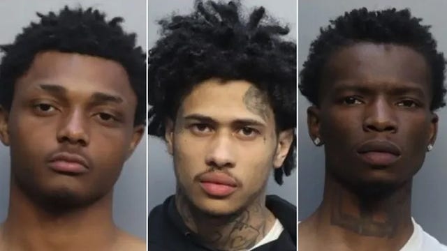 Wannabe burglars storm Real Housewives star’s mansion – only to get spooked by alarm, crash getaway car: cops