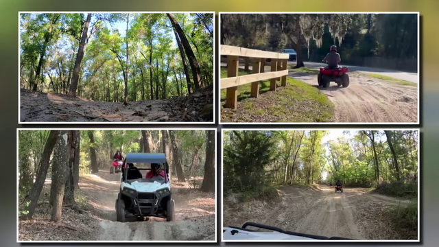 Ride the hills and trails of the Withlacoochee State Forest with Wolfpack ATV's