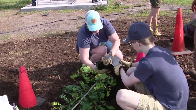 Pinellas Virtual School students celebrate Earth Day with tree-planting project at Patti Johnson Farm
