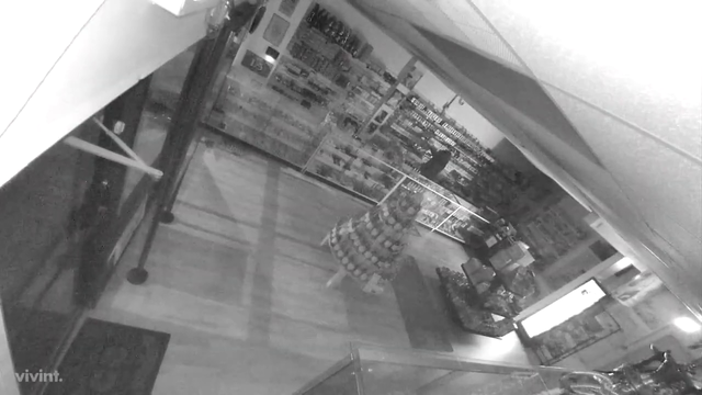 Teen accused of smashing window, stealing $5K in merchandise from Hillsborough County smoke shop: HCSO
