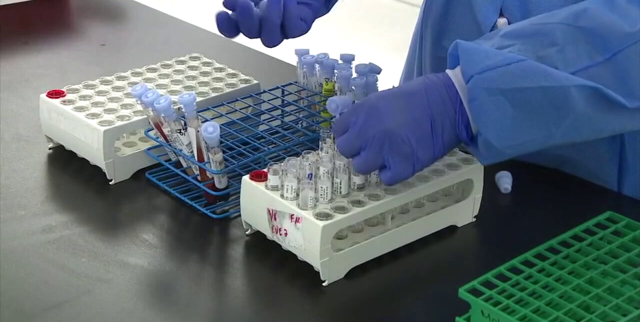 New COVID variant has been detected in Florida: CDC | FOX 13 Tampa Bay