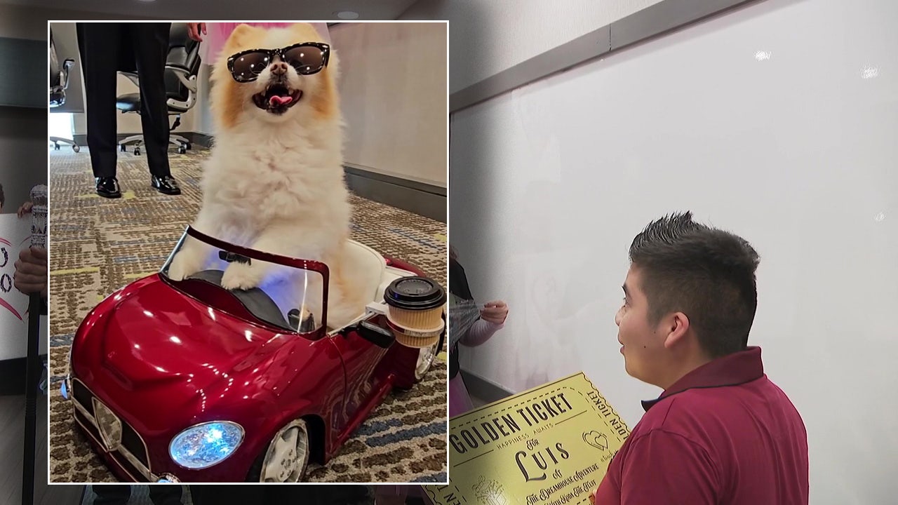 Florida’s famous Pomeranian Koda the Fluff surprises three families in need with three-day, VIP getaway