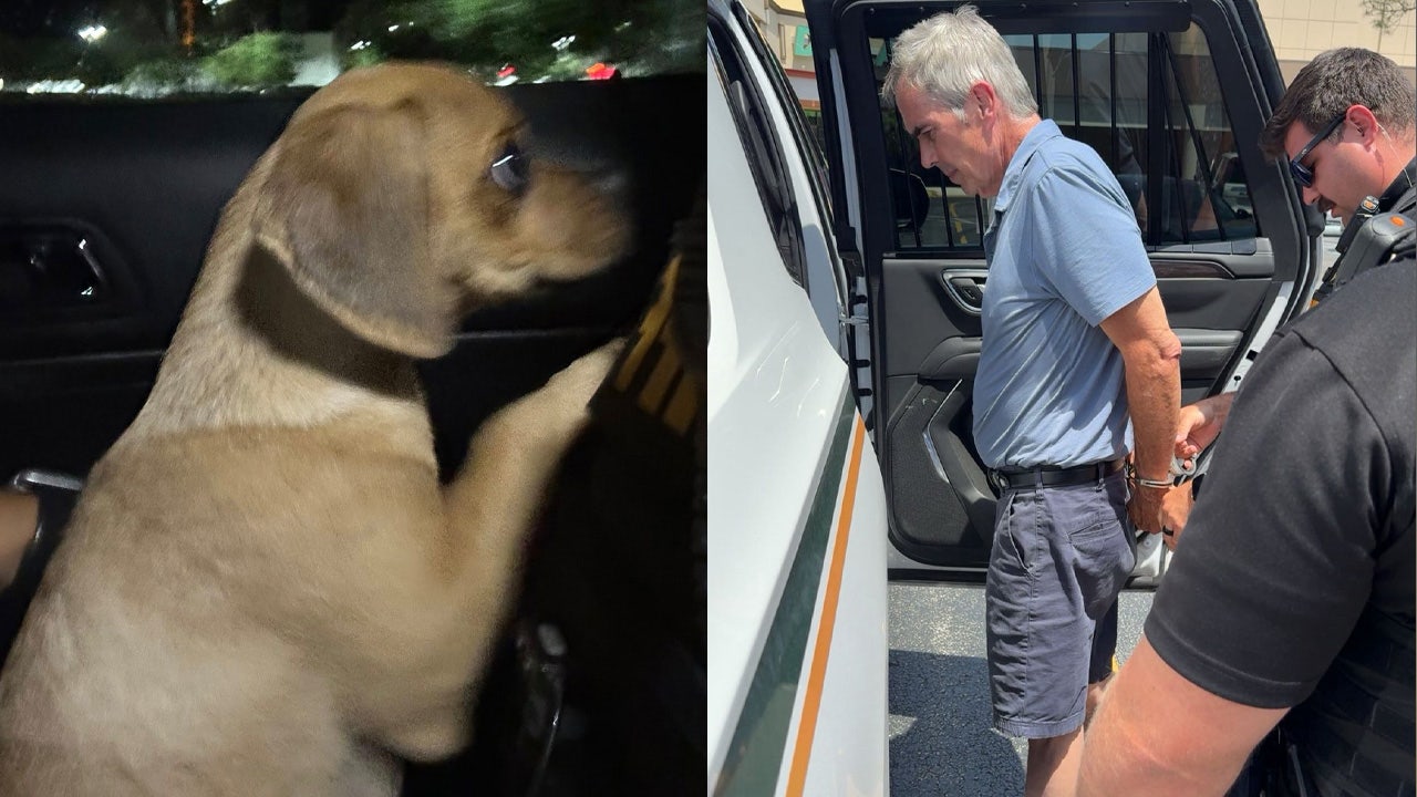 Florida man accused of strangling puppy suffering from cocaine-induced seizure