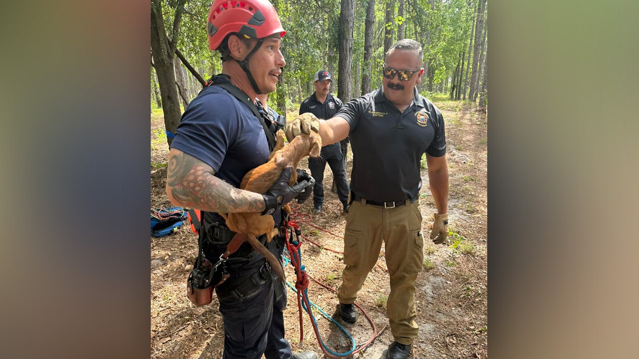 Missing Florida dog rescued from 40-foot sinkhole reunites with family