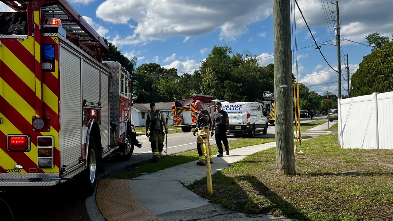 Lakeland mobile home fire leaves 1 dead, 2 dogs killed: LFD