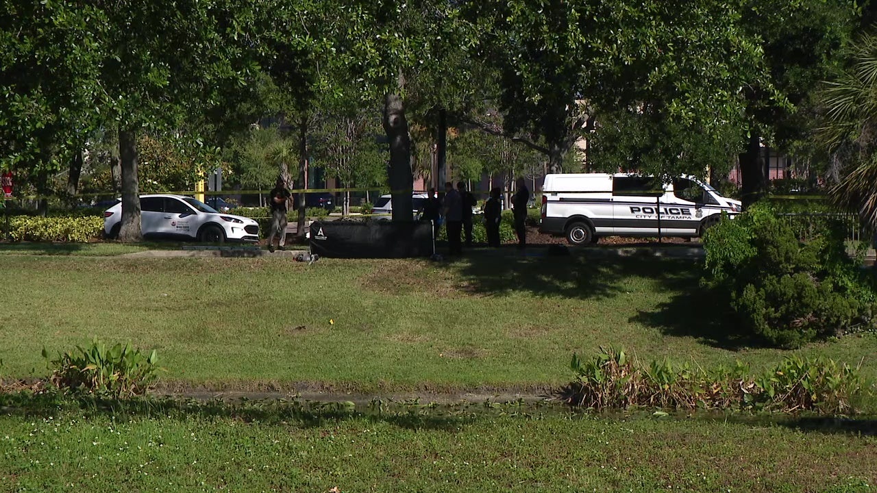 Man found dead in retention pond near International Plaza in Tampa, TPD investigating