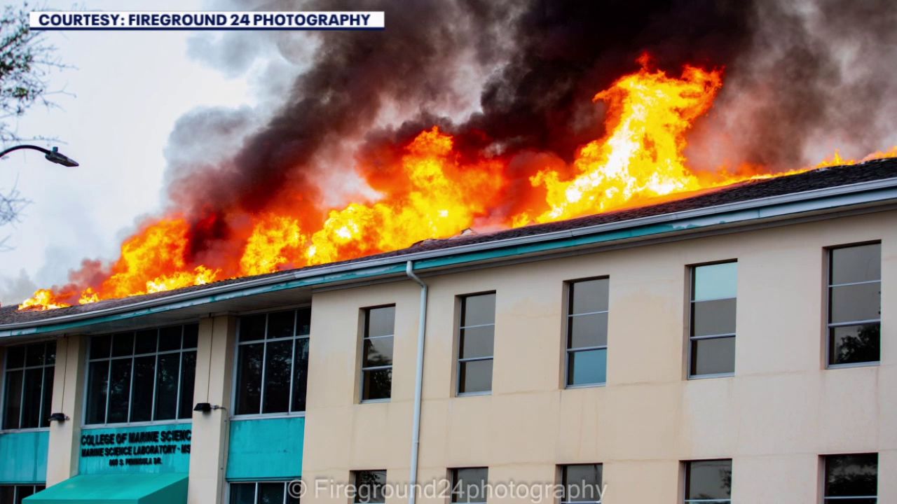 Lightning strike likely sparked massive fire that destroyed USF St. Pete marine science lab, officials say