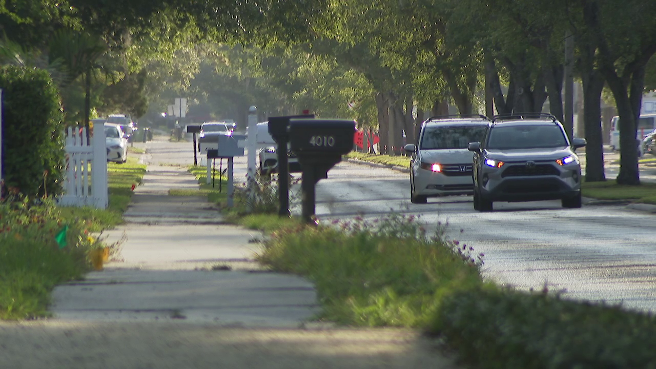 South Tampa residents clash over El Prado Boulevard redesign project: 'It's absolute chaos'
