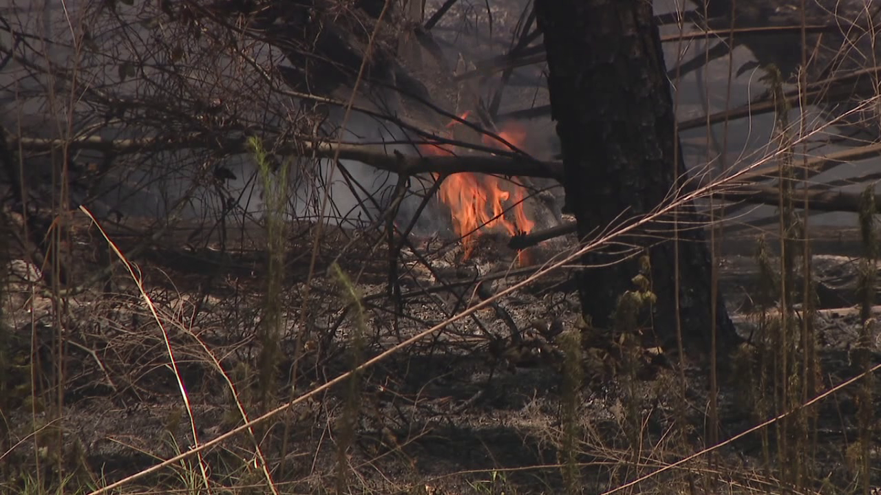 Fire officials warn that transition from drought to rainy season does not mean brushfire season is over