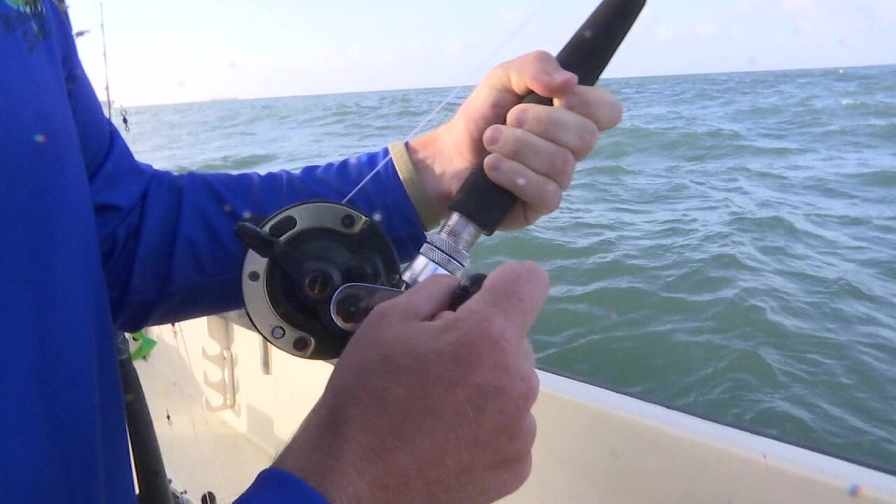 FWC brings back online sales for non-resident, short-term fishing licenses ahead of holiday weekend