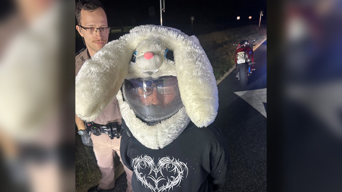 Pasco County motorcyclist in bunny helmet arrested after 120 mph chase from troopers across counties: FHP