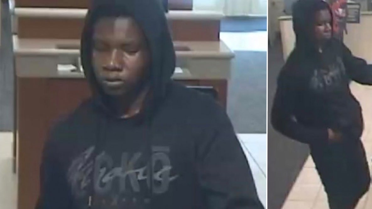 Pasco County deputies search for criminal suspect in New Port Richey