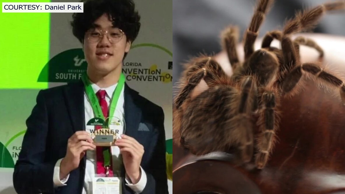 Can tarantula venom cure anxiety? Tampa teen's AI research wins Florida Invention Convention