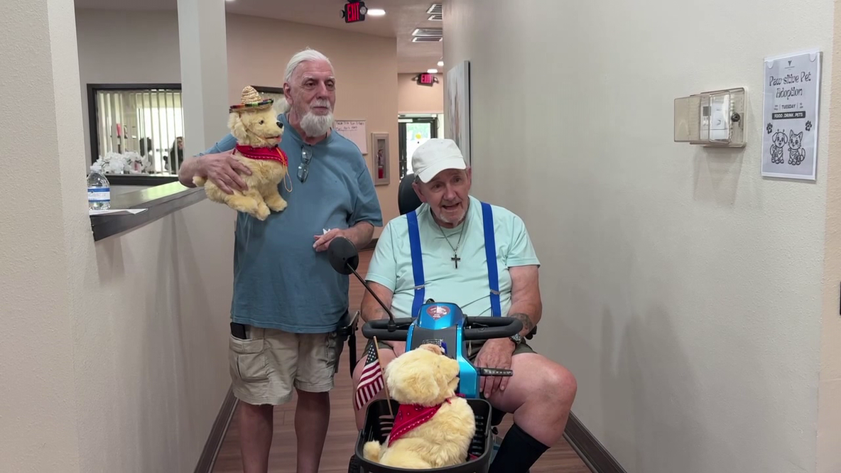 Clearwater seniors find companionship through robotic pet adoption event