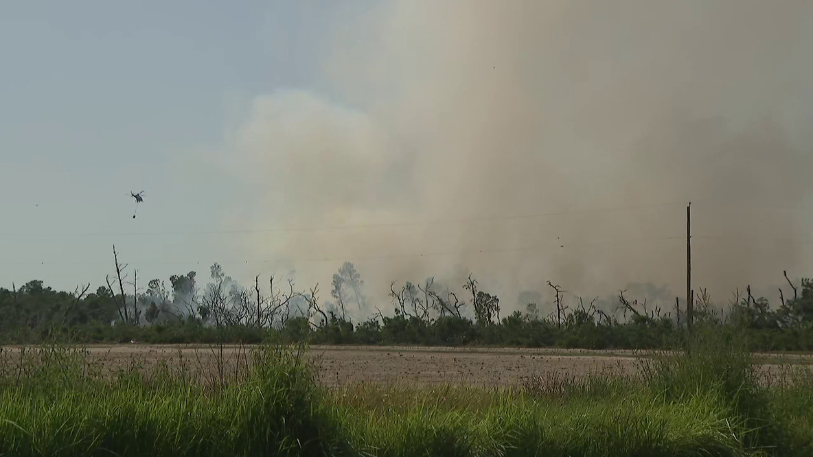 Lithia brush fire spreads, leaves 1 person critically injured: HCFR