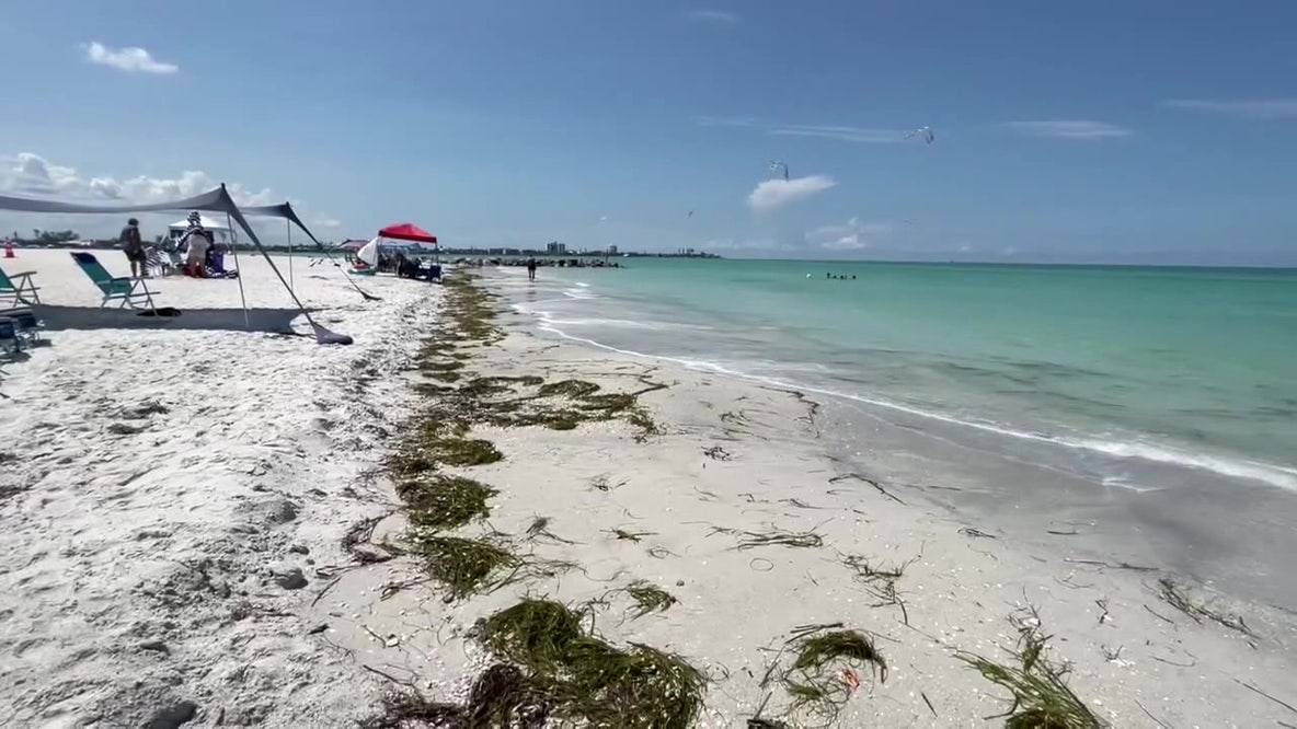 Sarasota completes $12M Lido Beach project