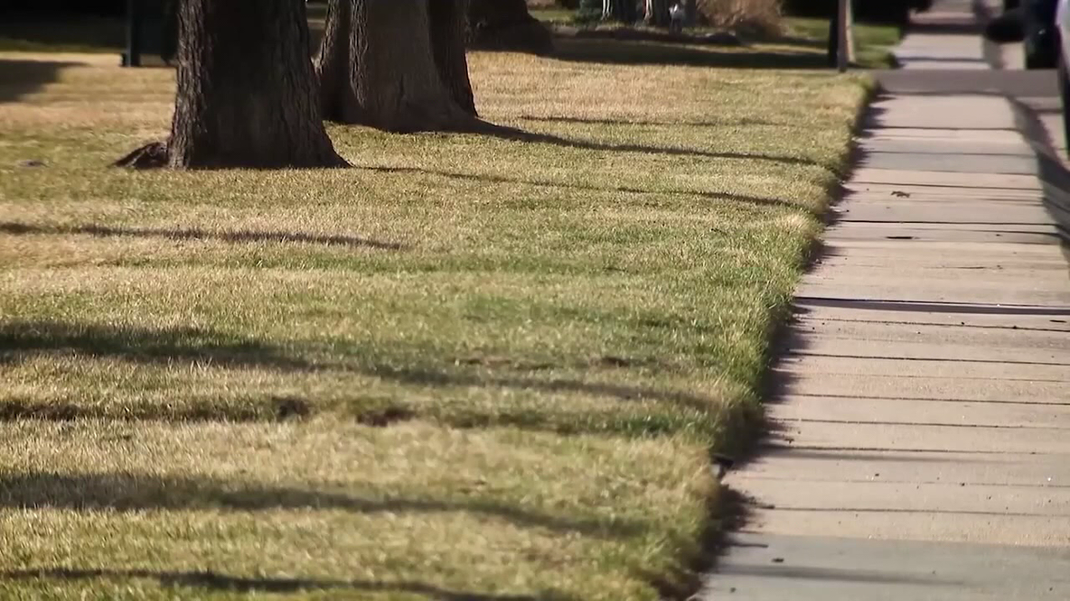Fertilizer bans in effect beginning in June across Tampa Bay Area