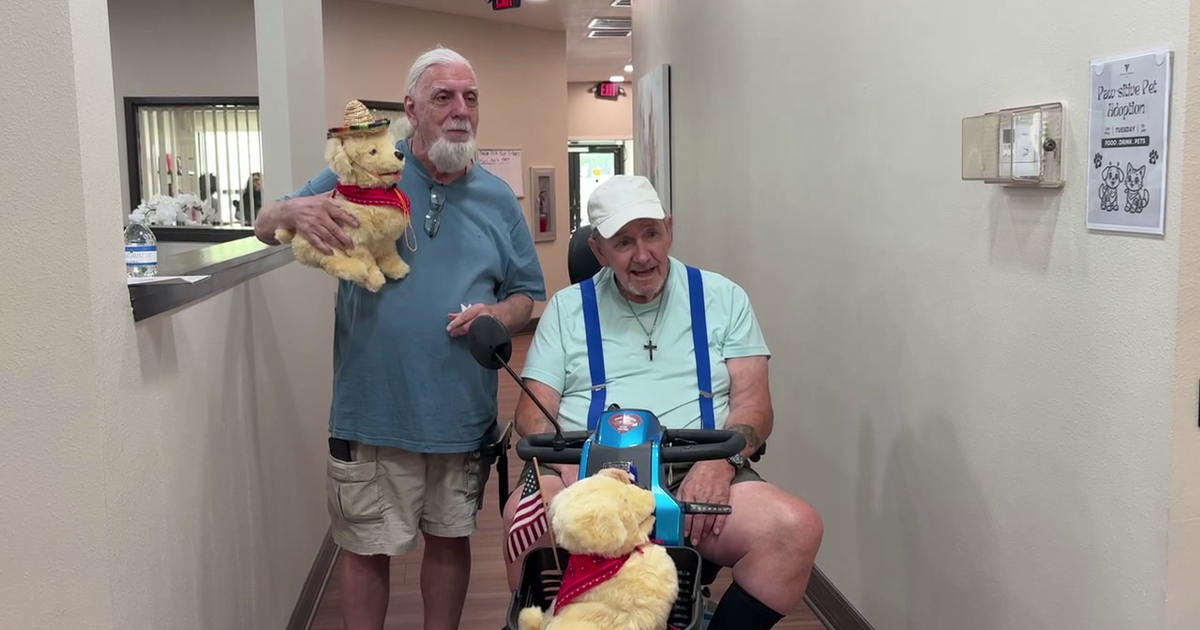 Clearwater seniors find companionship through robotic pet adoption event