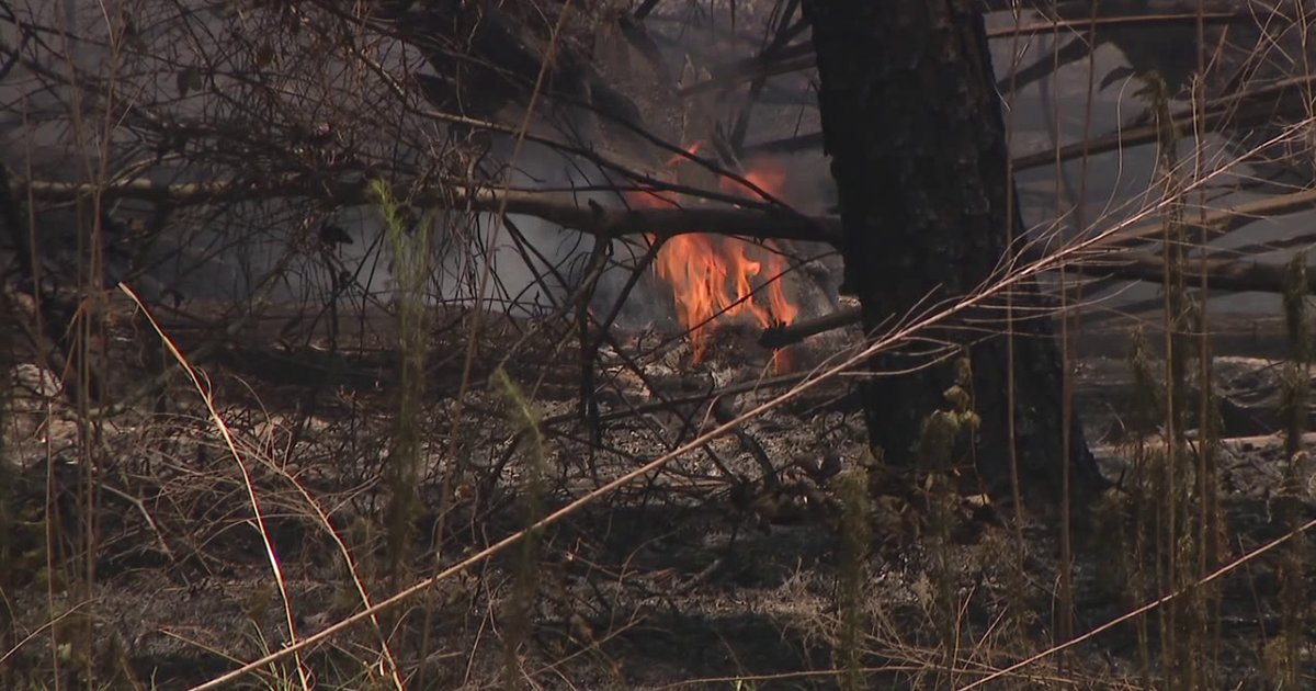 Fire officials warn that transition from drought to rainy season does not mean brushfire season is over