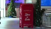 Clearwater Marine Aquarium serves as backdrop for new Christmas romance movie