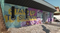 Florida strengthens domestic violence laws with new abuser tracking, discreet 911 systems