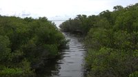 Tampa waterfront homeowners urged to check backyard tidal creeks before hurricane season