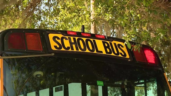 Hillsborough County school bus data shows fewer drivers passing stop-arms