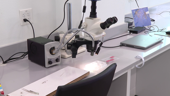 Sarasota County's new mosquito management facility features first-of-its-kind malaria testing program