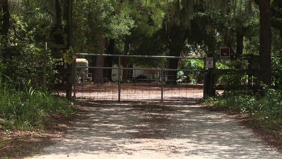 Pit bull to be euthanized after attacking Winter Haven foster mom