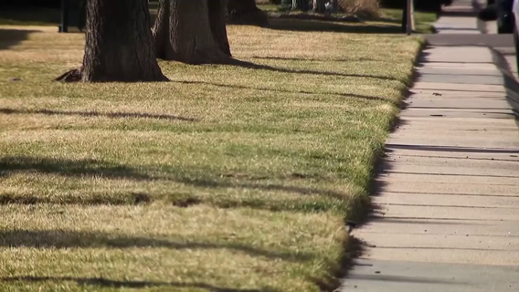 Fertilizer bans in effect beginning in June across Tampa Bay Area