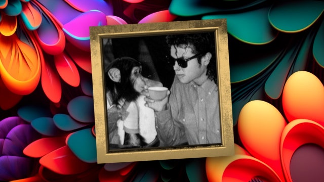 Where is Michael Jackson’s chimp Bubbles? The Florida retirement of a Hollywood legend