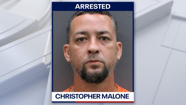 Tampa man accused of killing family Chihuahua while intoxicated