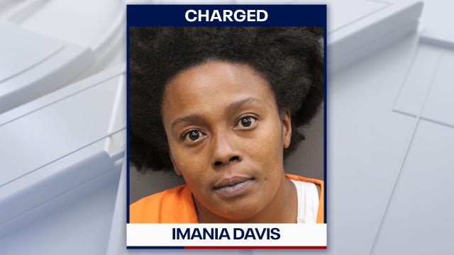 Florida woman charged after disturbing video shows dog being thrown and kicked: HCSO