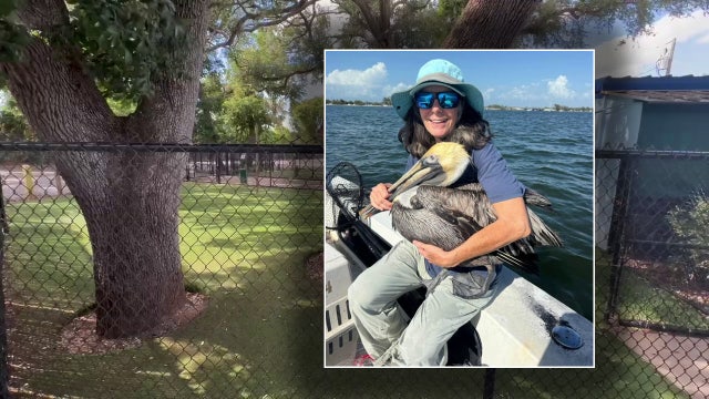 Nonprofit to transform former Manatee County Animal Services site into seabird rehab campus