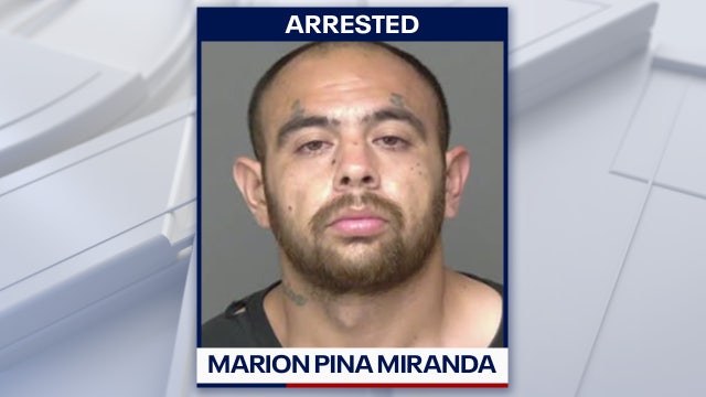 Suspected carjacker punched man in face before fleeing from law enforcement officers over 100 mph: HCSO