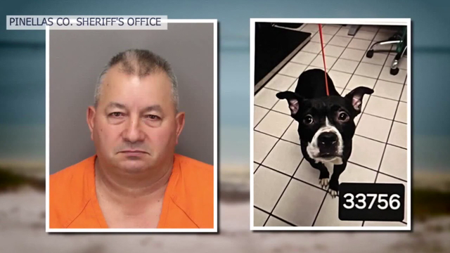 Man convicted in animal cruelty case that inspired 'Dexter's Law' arrested after appeal upheld original ruling