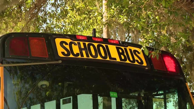 Hillsborough County school bus data shows fewer drivers passing stop-arms