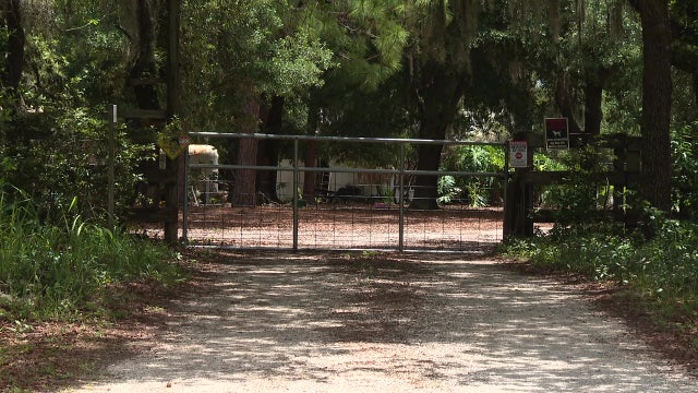 Pit bull to be euthanized after attacking Winter Haven foster mom