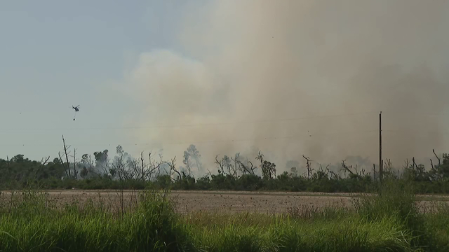 Lithia brush fire spreads, leaves 1 person critically injured: HCFR