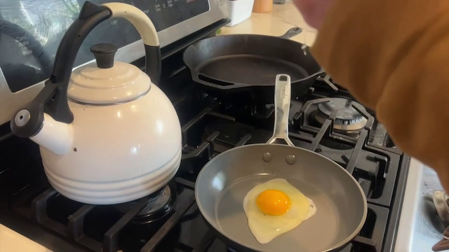 USF researchers weigh in on study linking egg consumption to reduced Alzheimer's risk